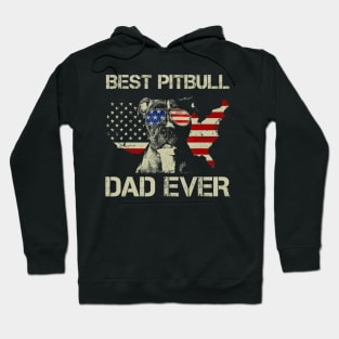 Best Pitbull Dad Ever Vintage American Flag 4th Of July Tee Hoodie